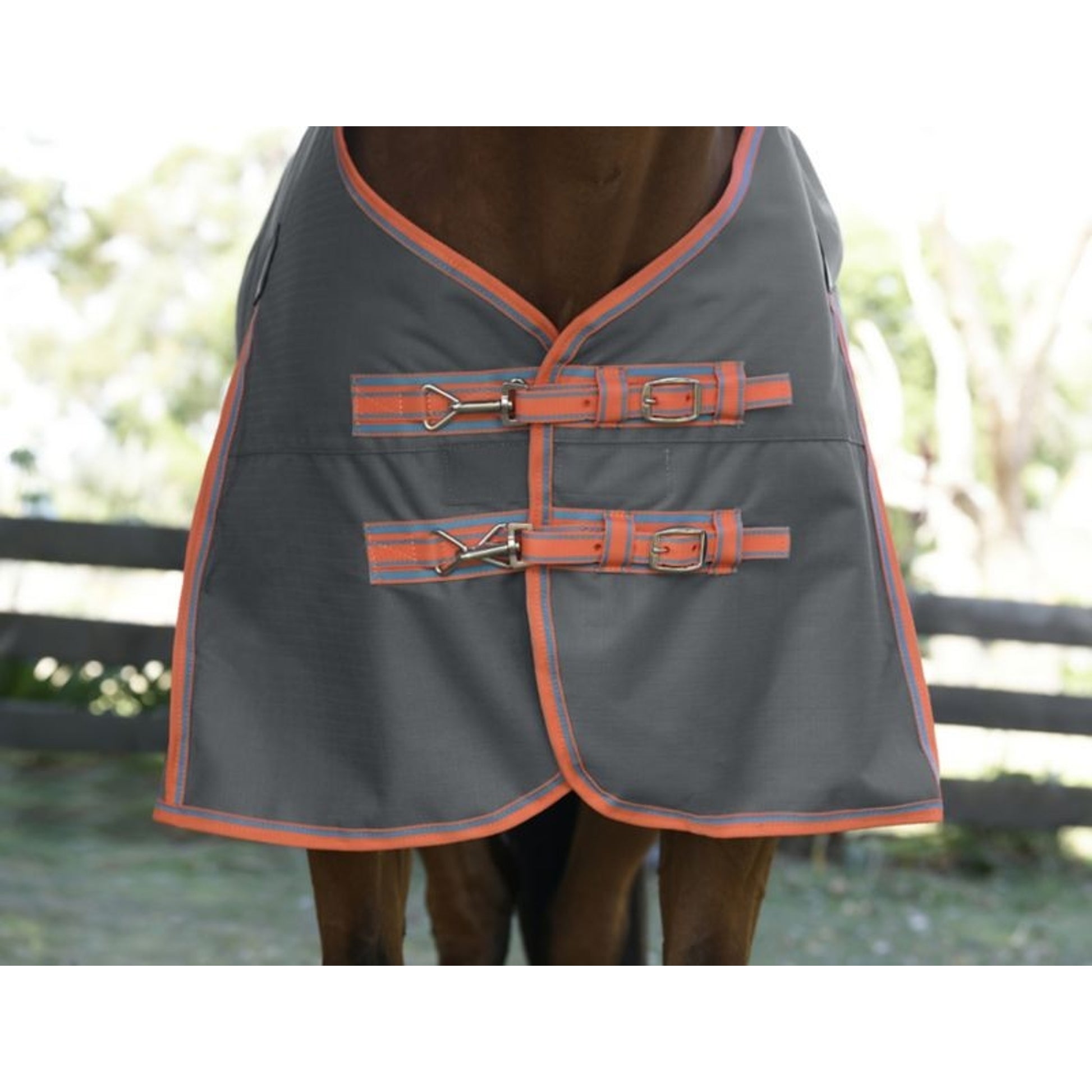 Weatherbeeta ComFiTec Essential Plus Standard Neck Medium