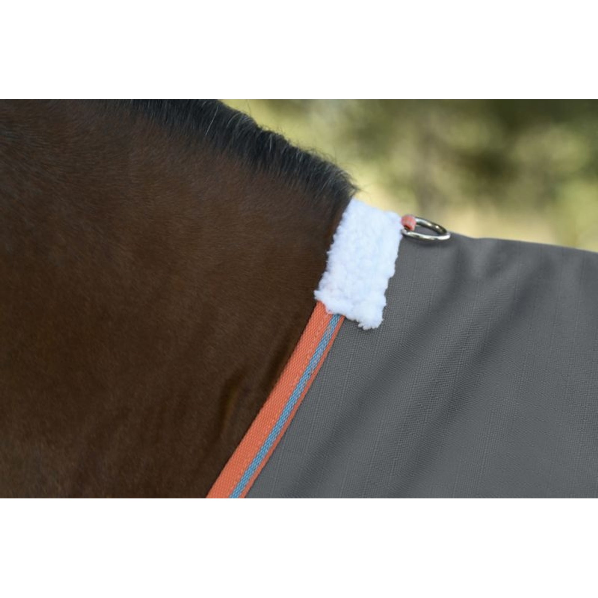 Weatherbeeta ComFiTec Essential Plus Standard Neck Medium