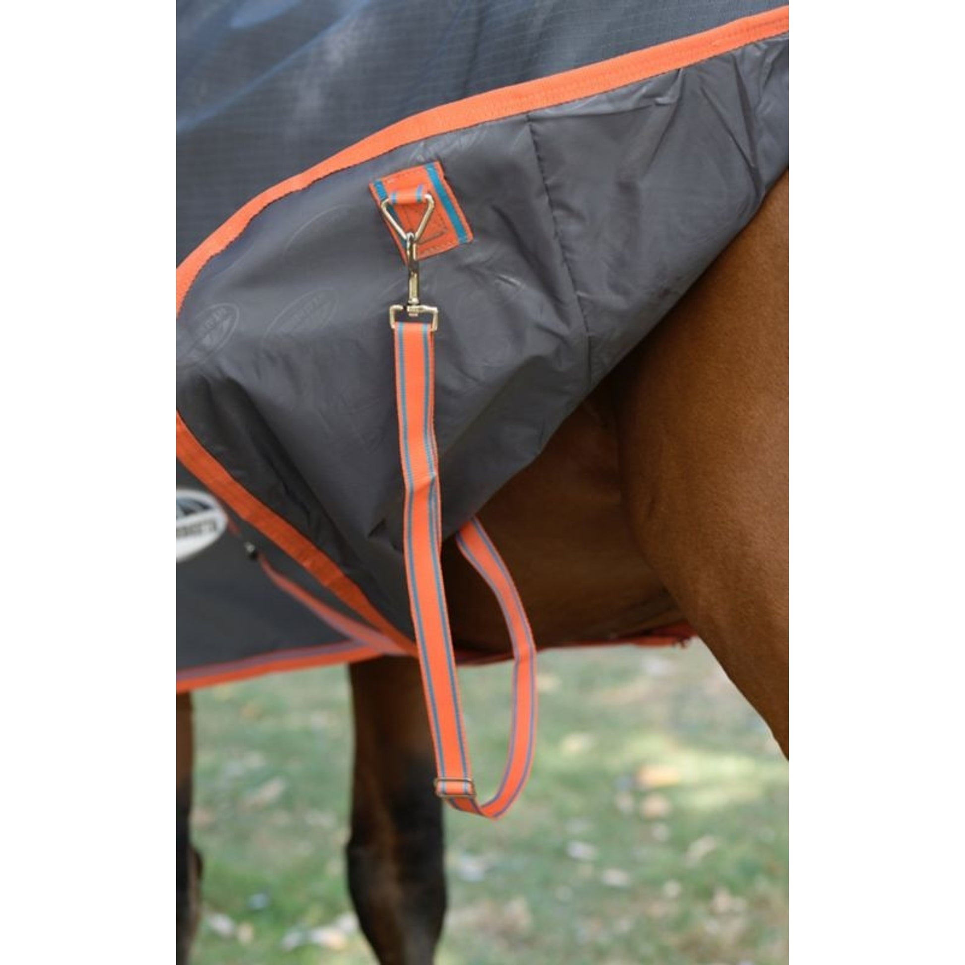 Weatherbeeta ComFiTec Essential Plus Standard Neck Medium