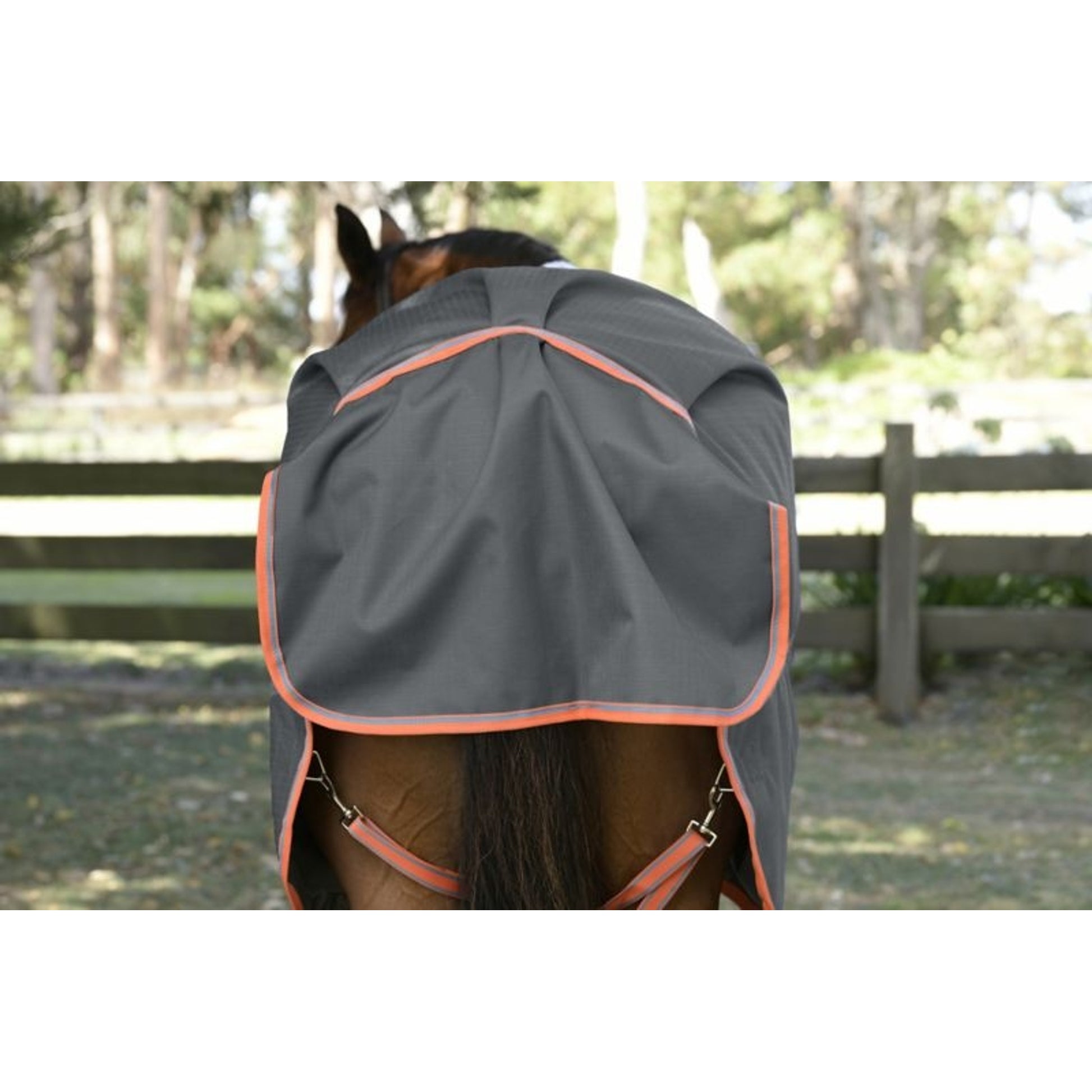 Weatherbeeta ComFiTec Essential Plus Standard Neck Medium