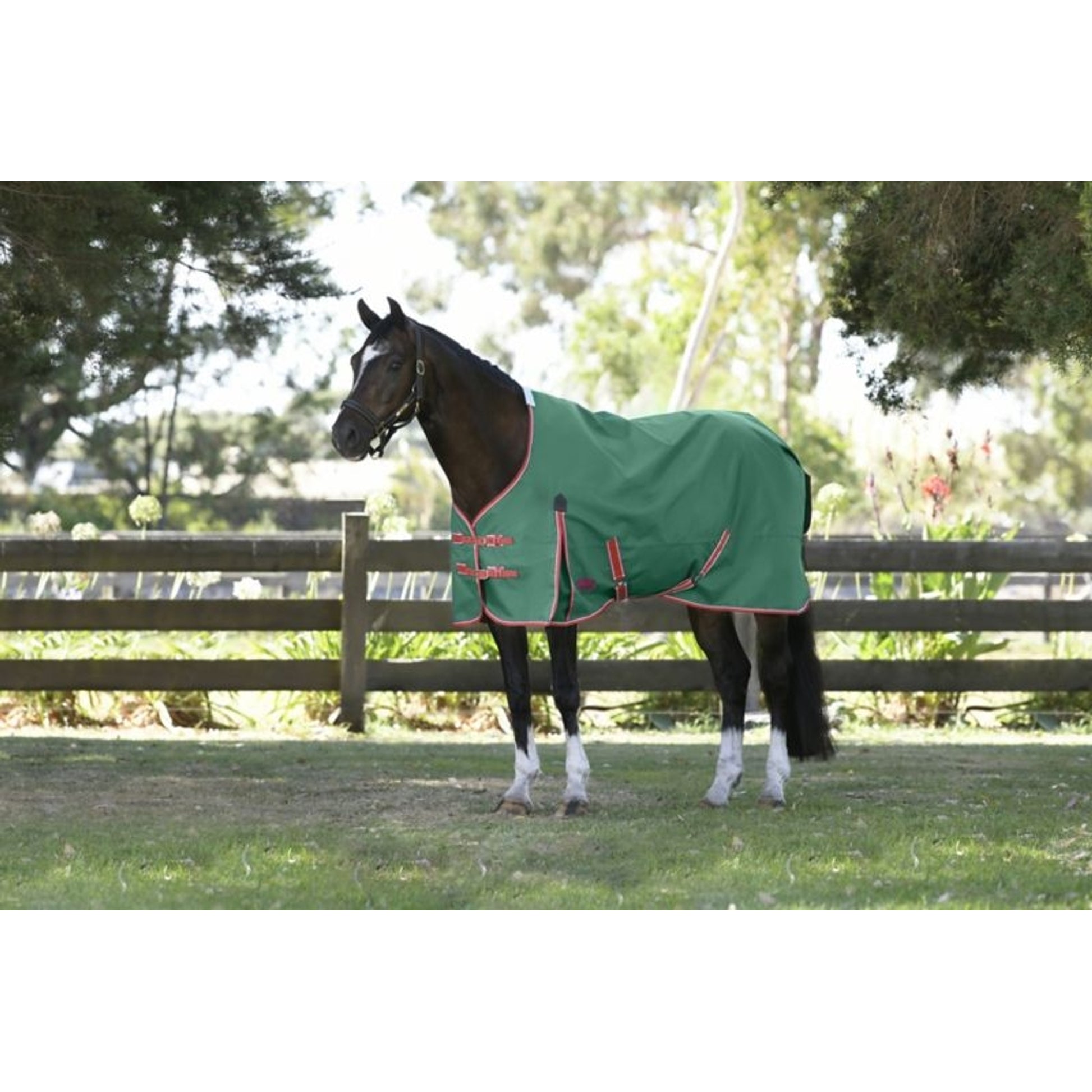 Weatherbeeta ComFiTec Prelim Standard Neck Medium