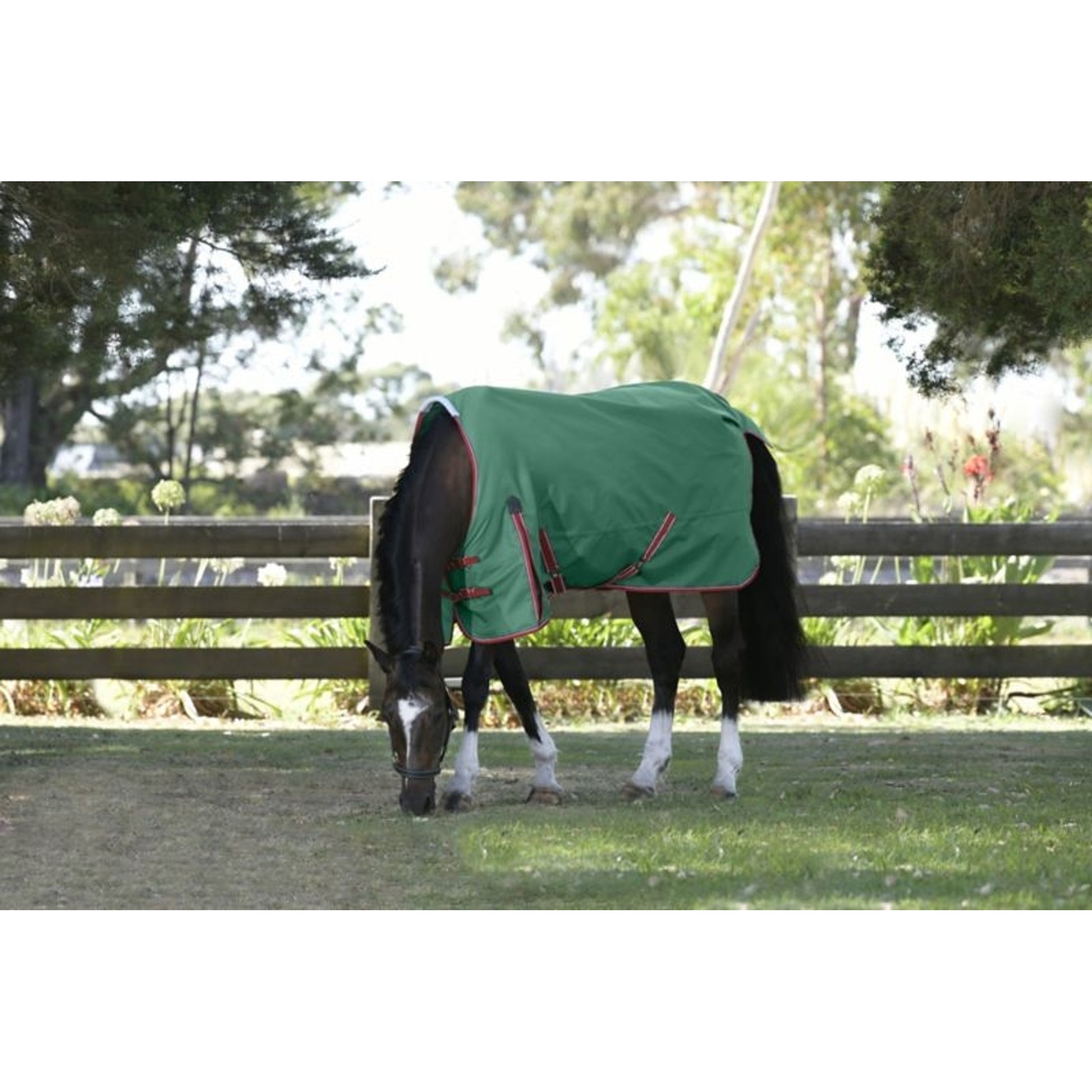 Weatherbeeta ComFiTec Prelim Standard Neck Medium