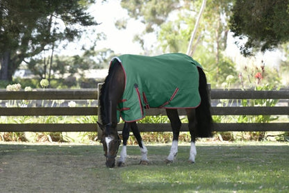 Weatherbeeta ComFiTec Prelim Standard Neck Lite