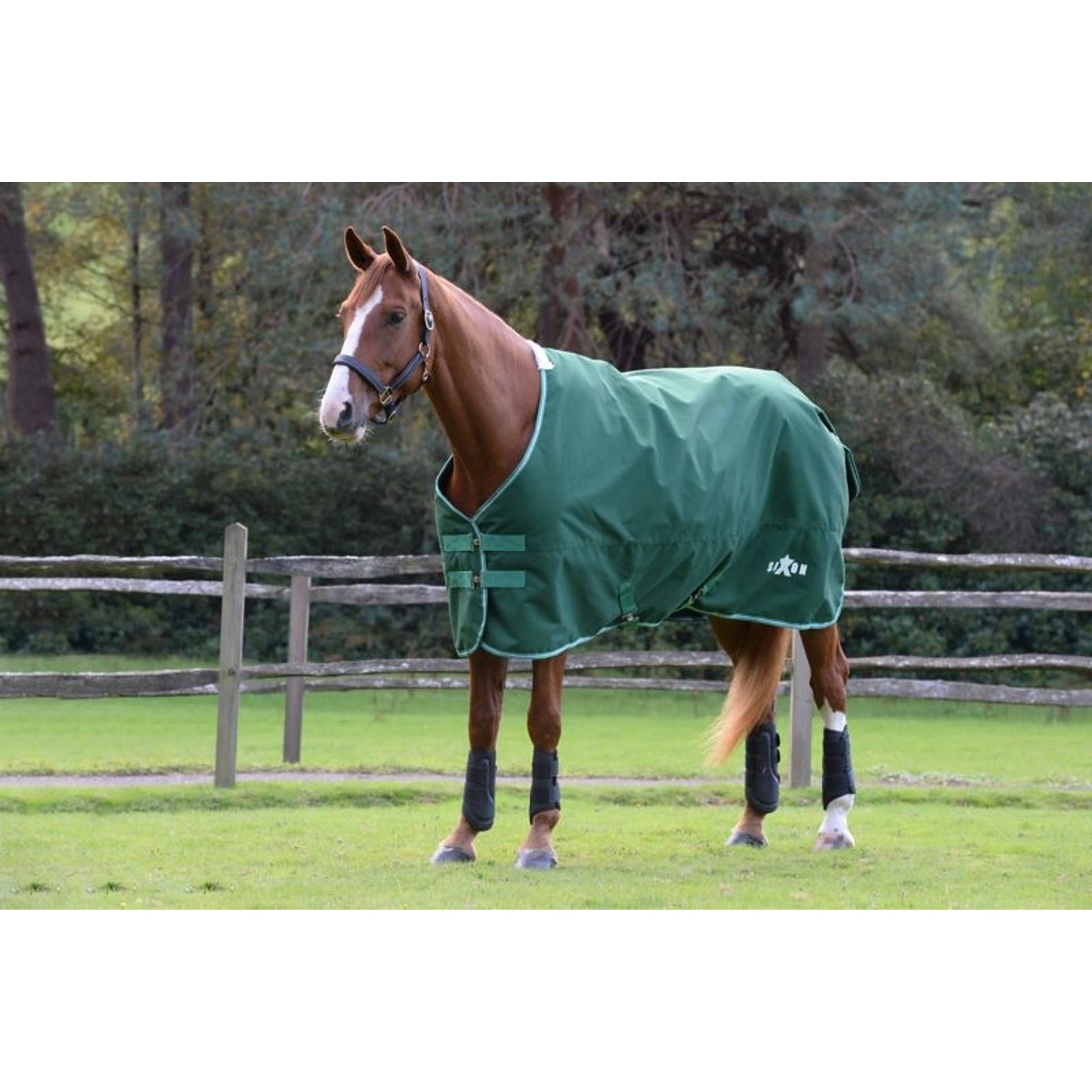Saxon Defiant 1200D Stand Med TO