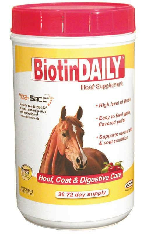 Hoof Care