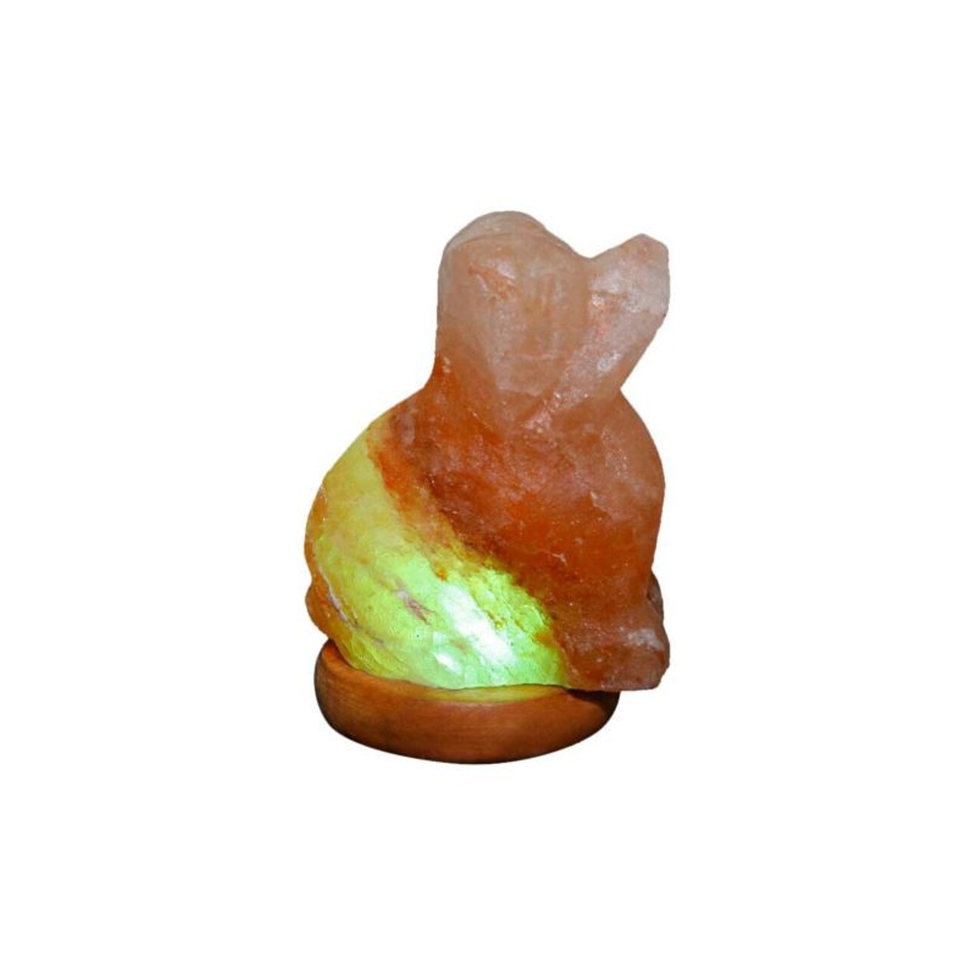 Himalayan Rock Salt Mini Dog Lamp