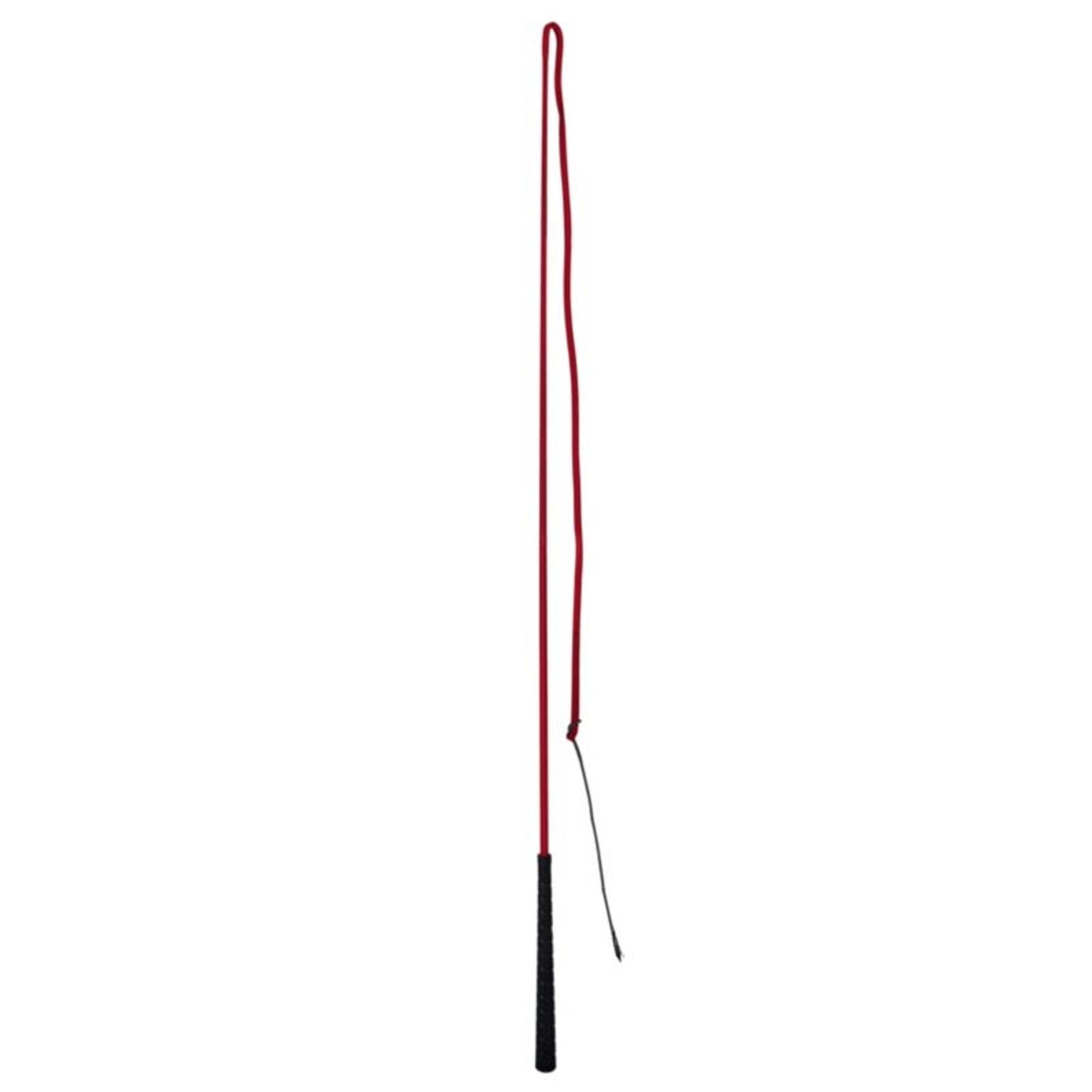 Gatsby Lunge Whip with 48in Drop