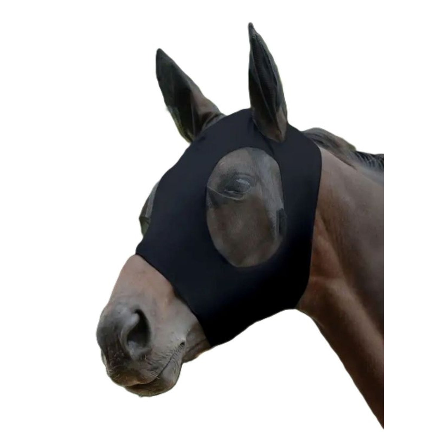 TE040249_BLK_01.jpg