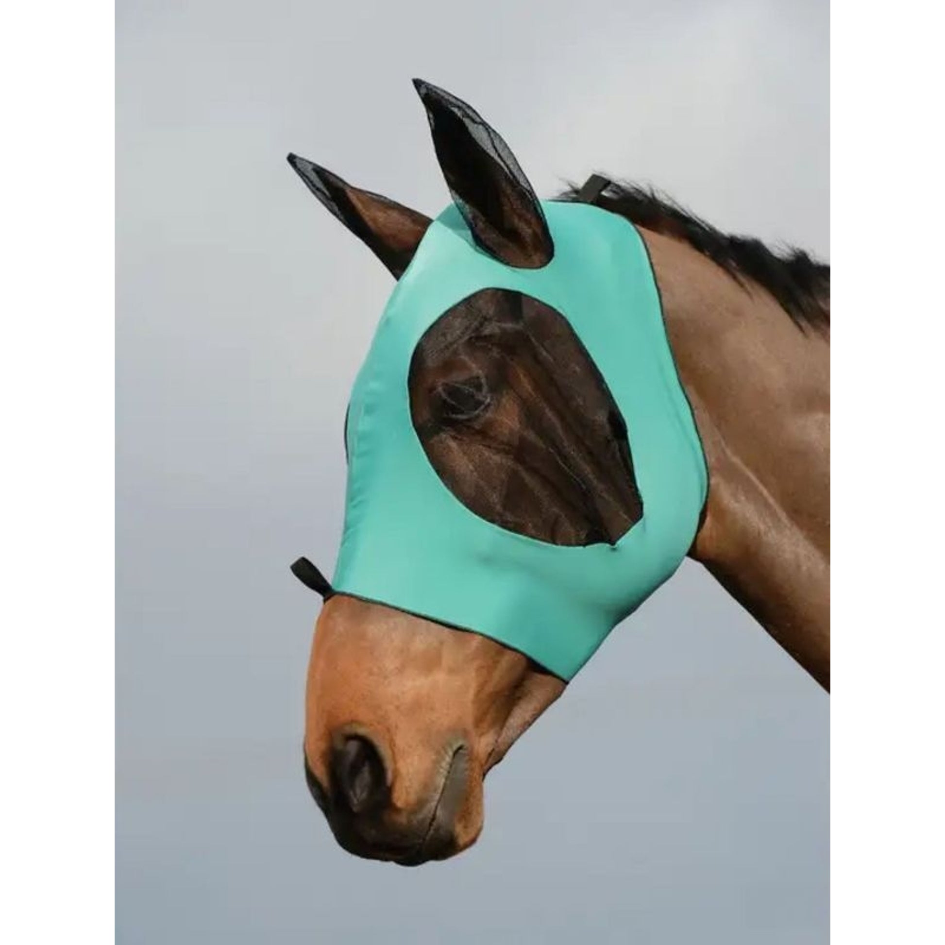 WeatherBeeta Stretch Bug Eye Saver With Ears