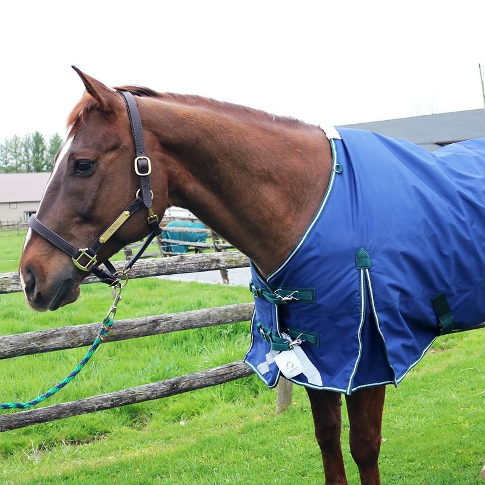 Pro-Trainer 200G TO Blanket with Neck Cover 1200D