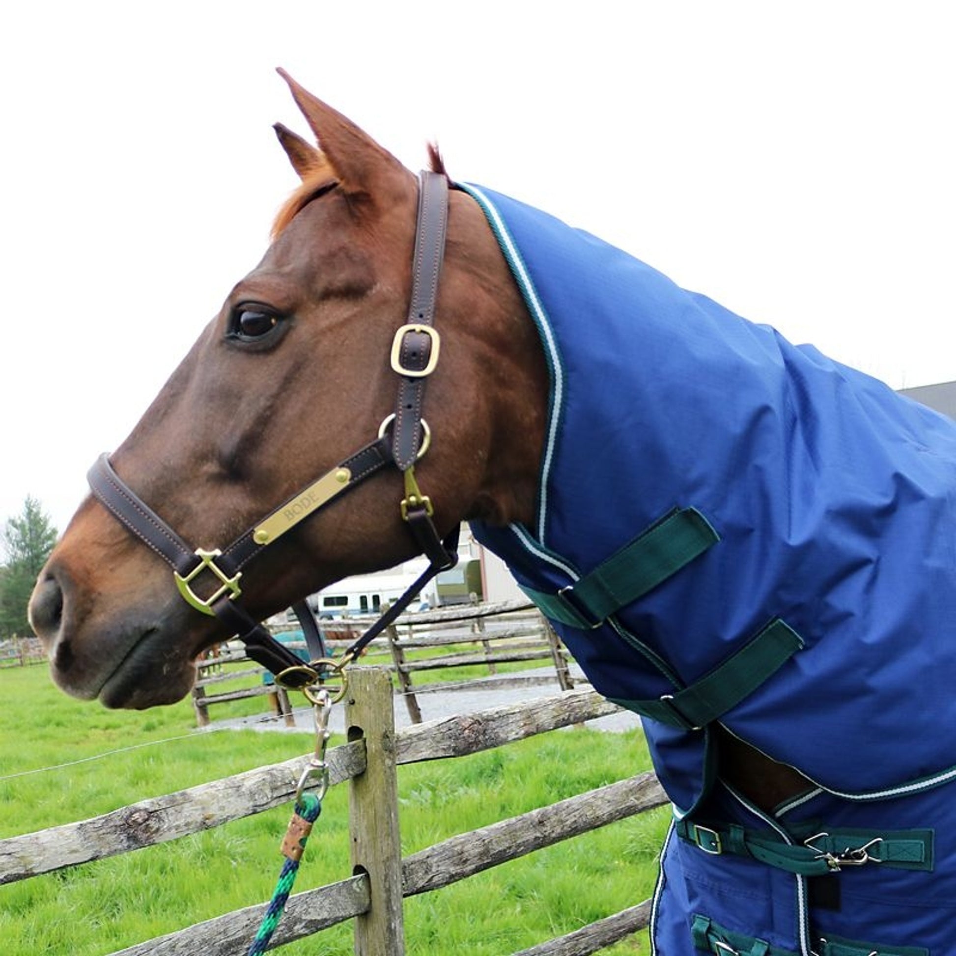 Pro-Trainer 200G TO Blanket with Neck Cover 1200D