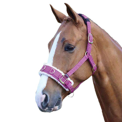 Shires Fleece Lined Lunge Cavesson