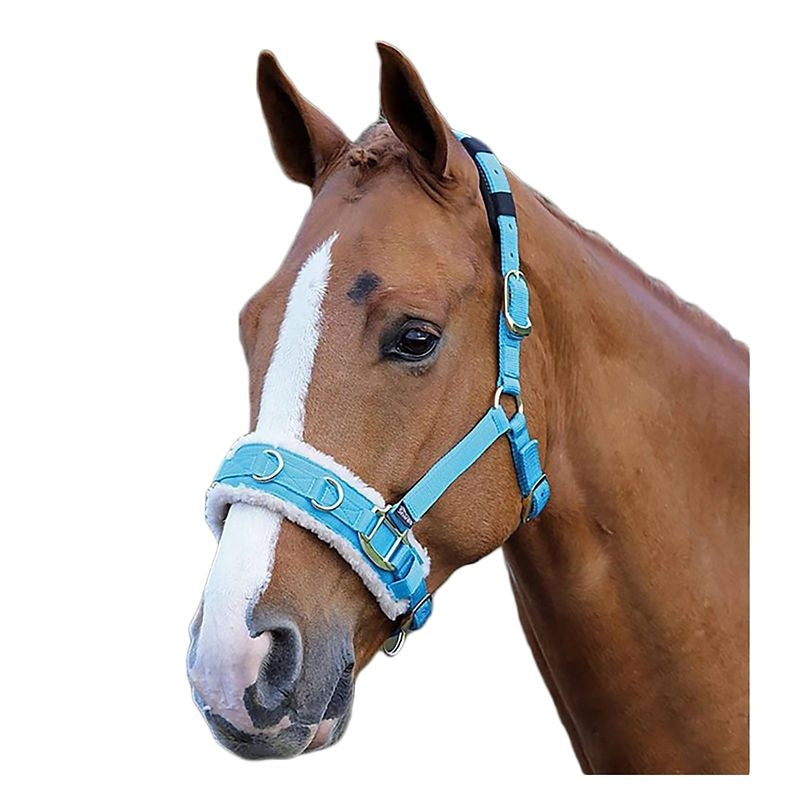 Shires Fleece Lined Lunge Cavesson