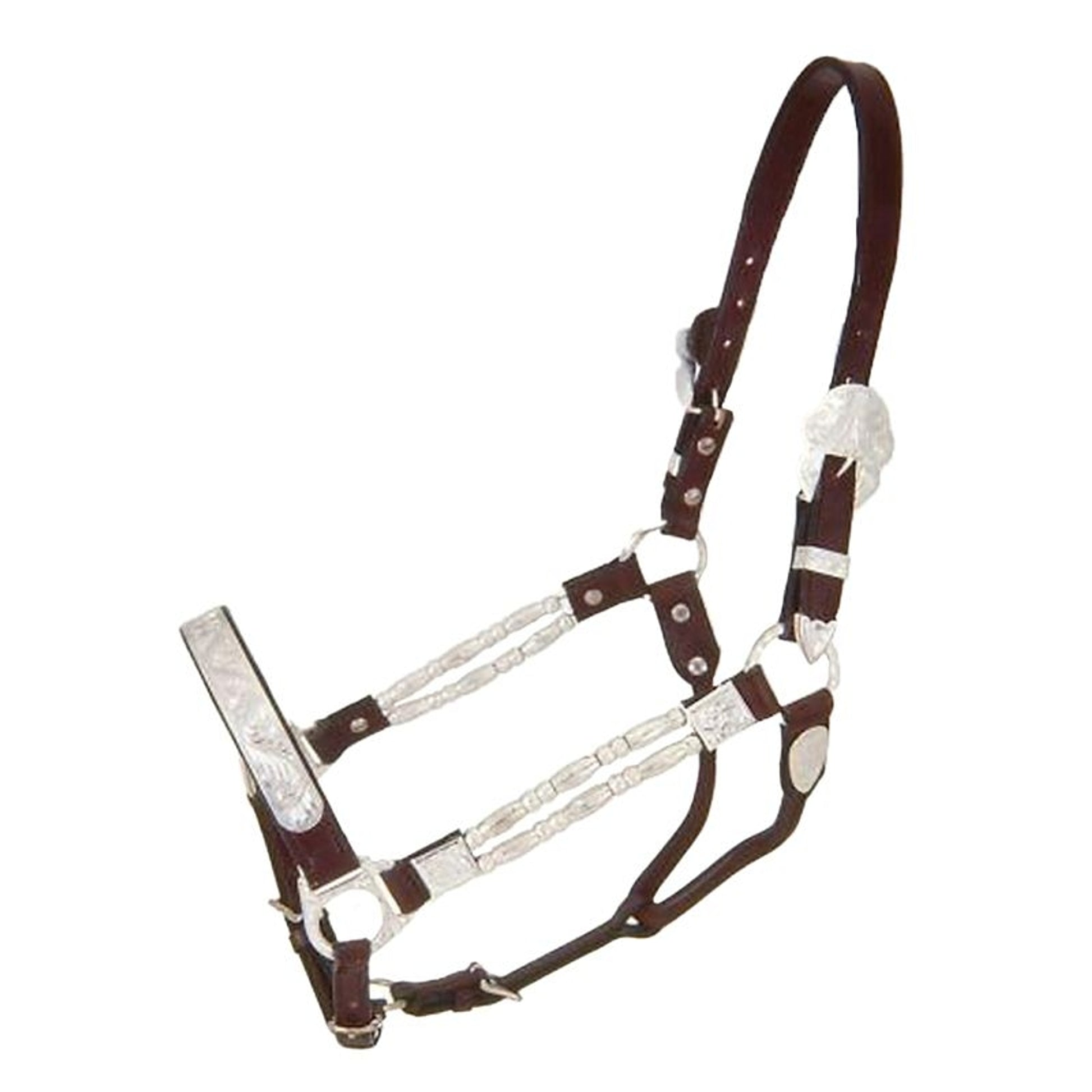 Royal King Silver Ferrules Show Halter Hrse Dk Oil