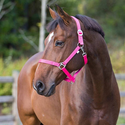 Horze Basic Halter