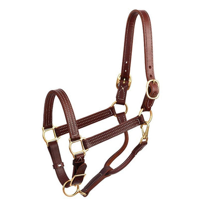 Perris Leather Show Halter