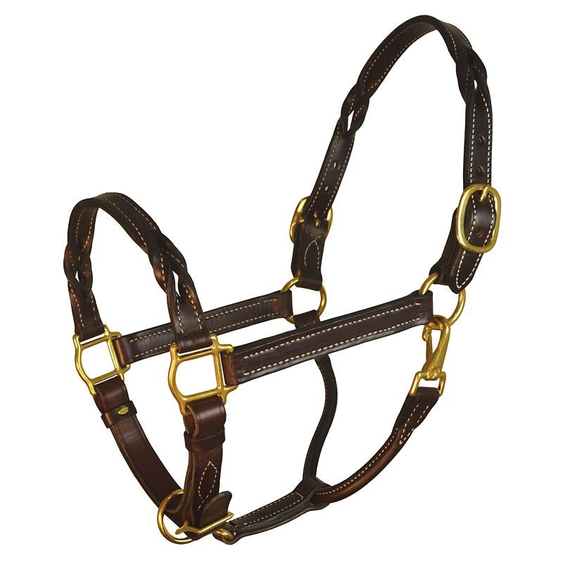 Perris Havana Twisted Leather Halter