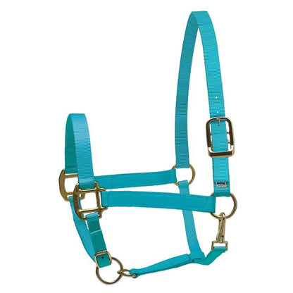 Perri's Personalized Nylon Super Halter