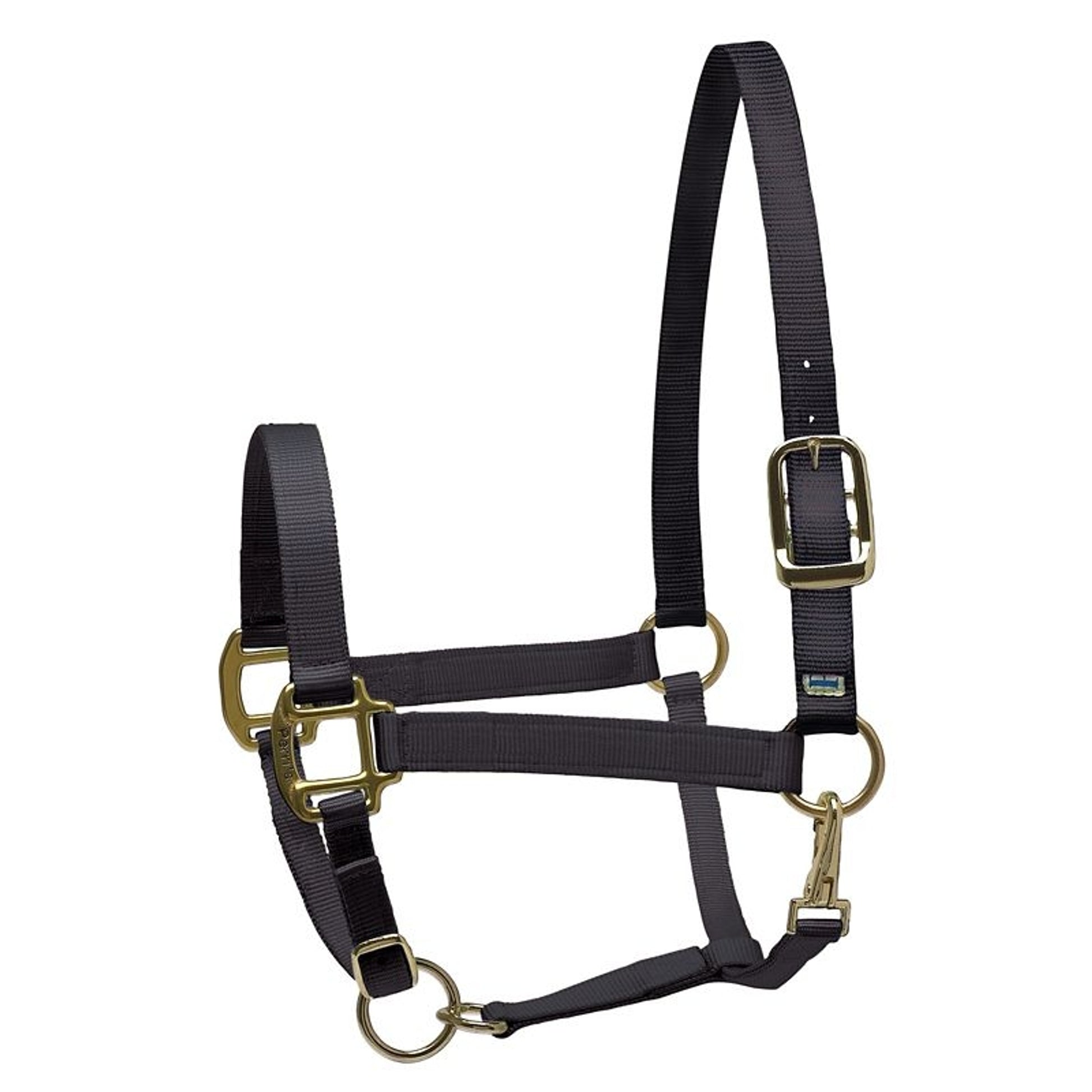 Perri's Personalized Nylon Super Halter