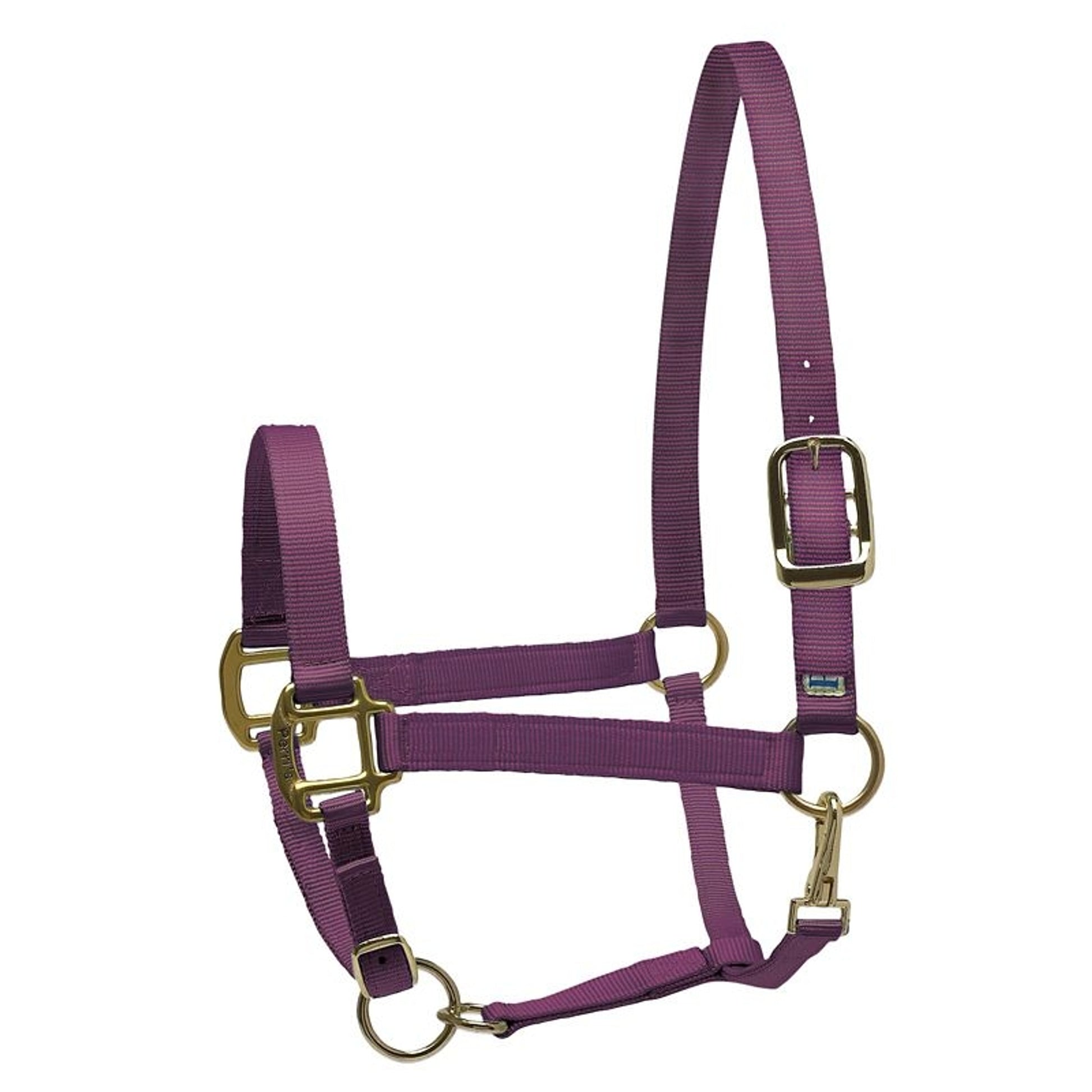 Perri's Personalized Nylon Super Halter