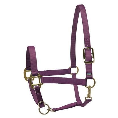 Perri's Personalized Nylon Super Halter