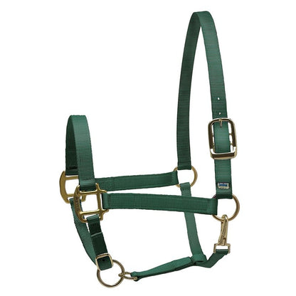 Perri's Personalized Nylon Super Halter