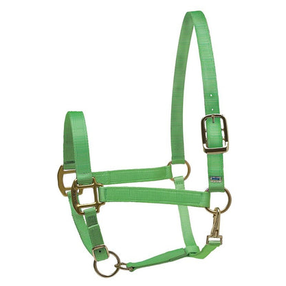 Perri's Personalized Nylon Super Halter