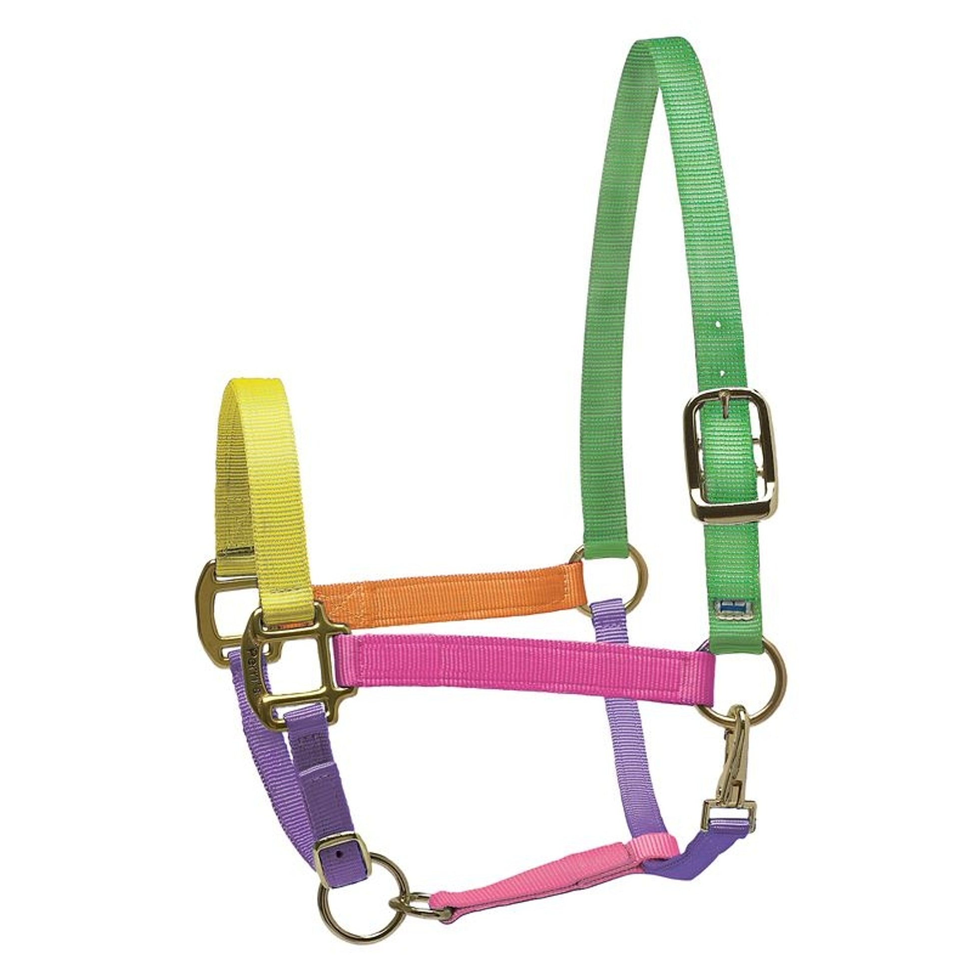 Perri's Personalized Nylon Super Halter