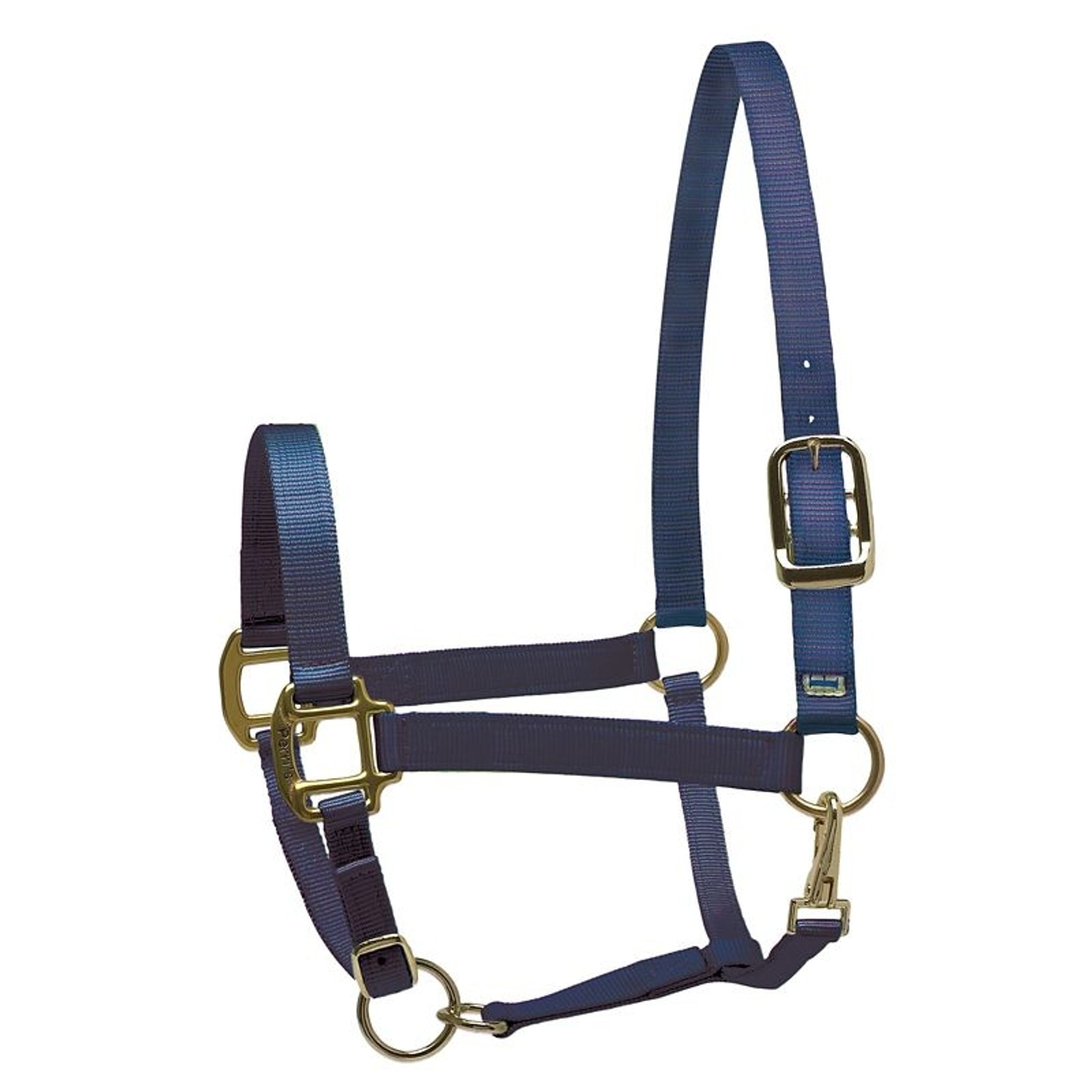 Perri's Personalized Nylon Super Halter