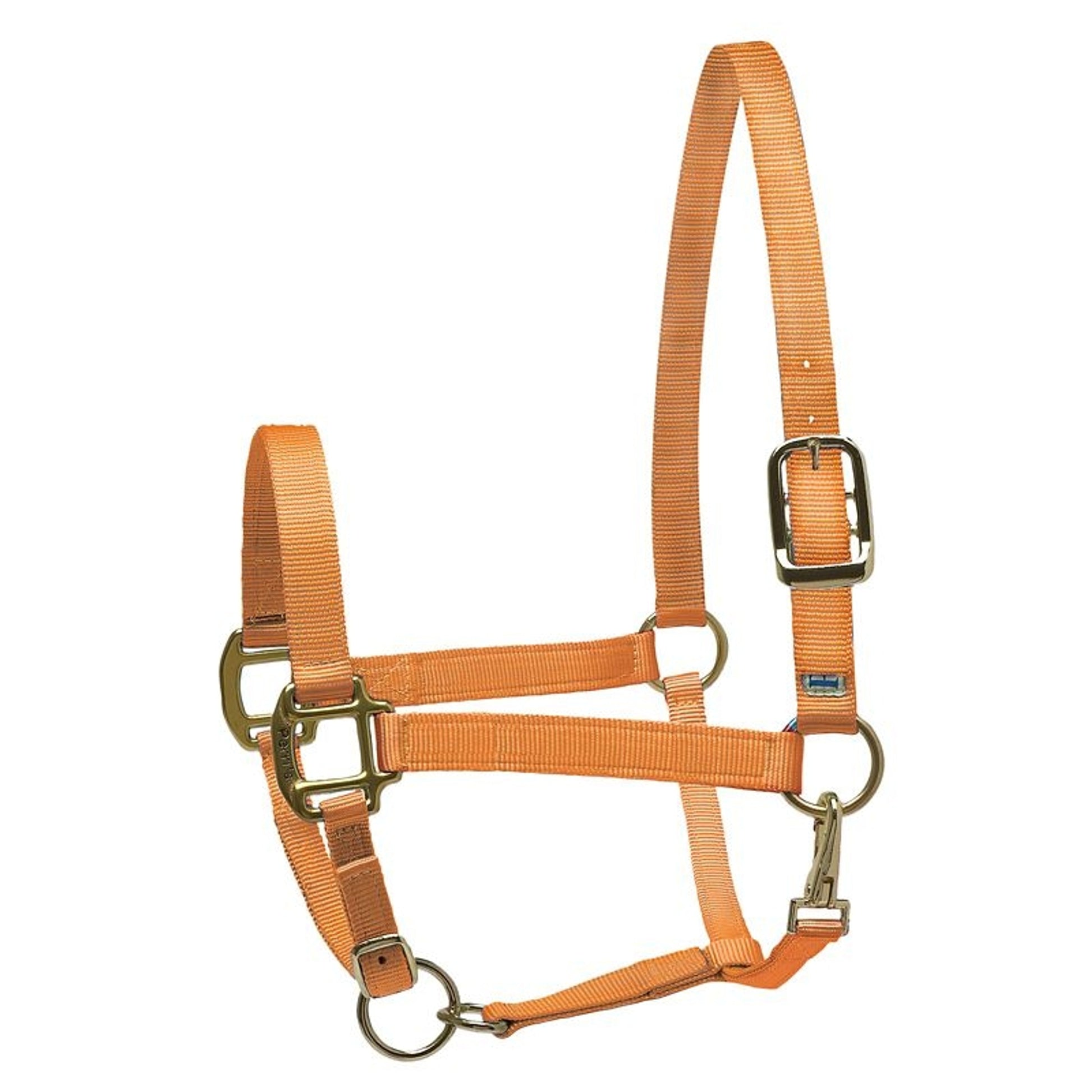 Perri's Personalized Nylon Super Halter