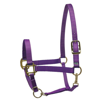 Perri's Personalized Nylon Super Halter