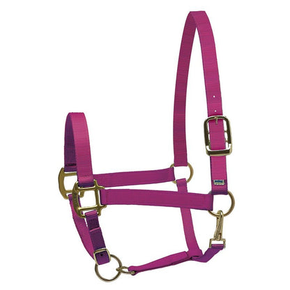Perri's Personalized Nylon Super Halter