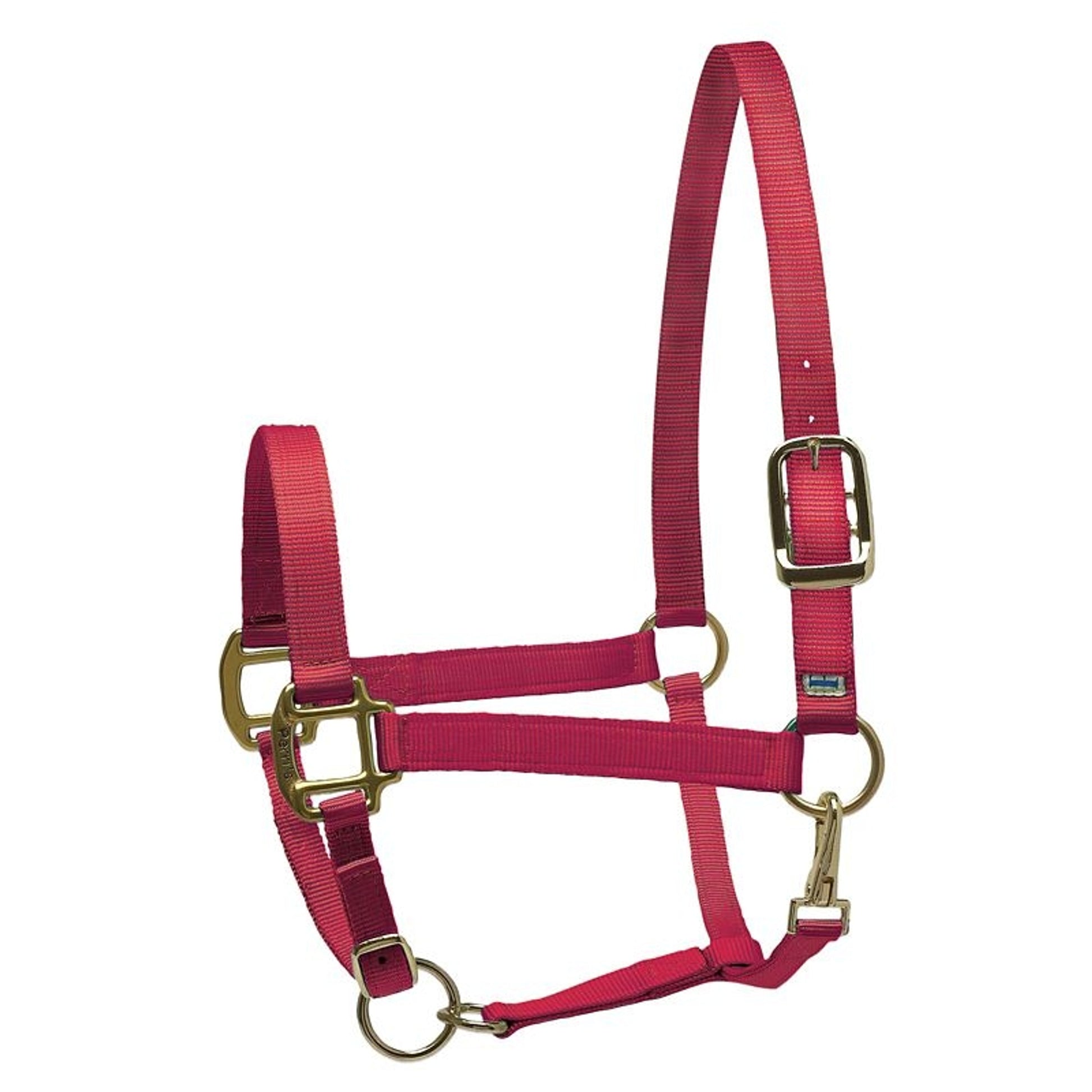 Perri's Personalized Nylon Super Halter