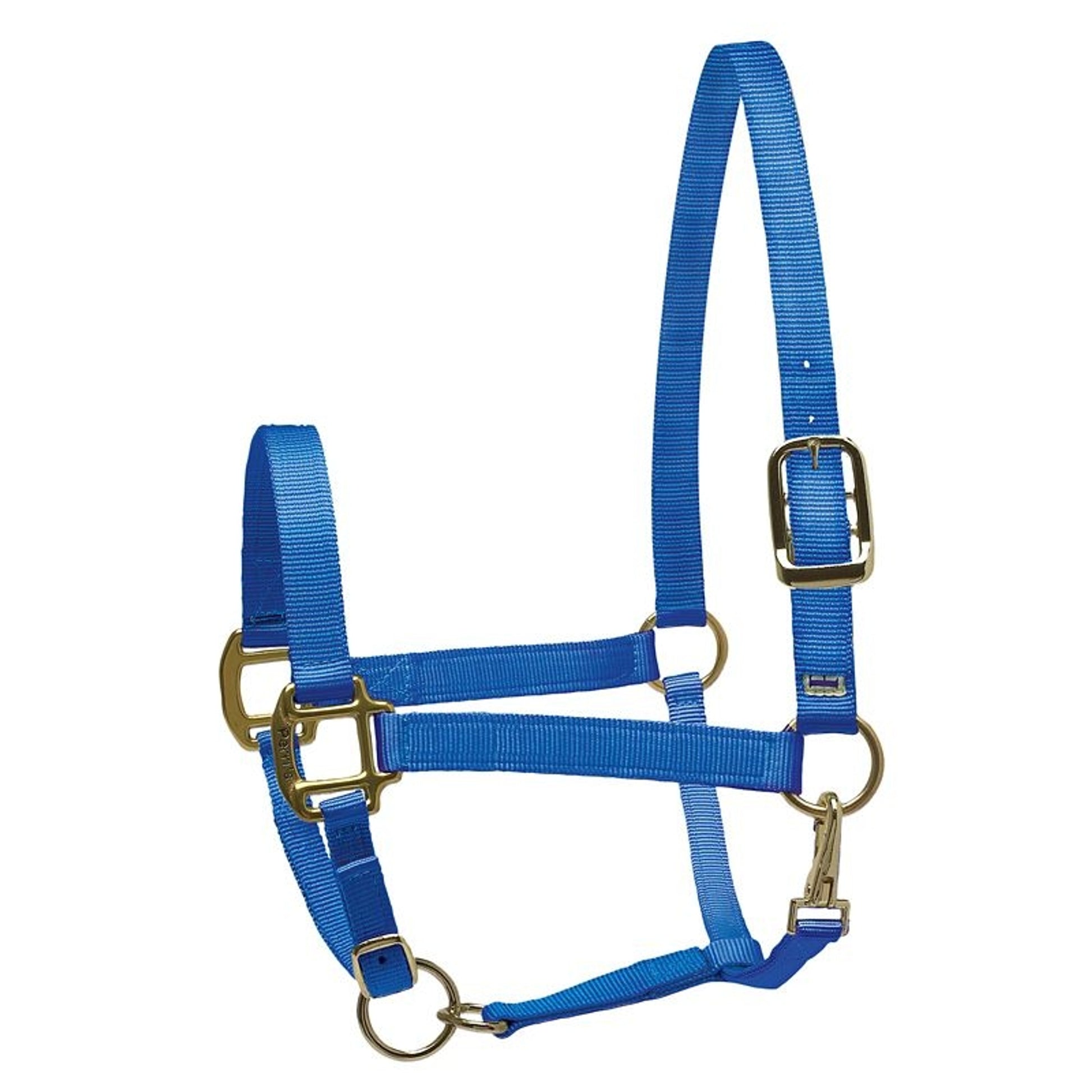 Perri's Personalized Nylon Super Halter