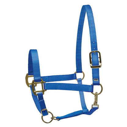 Perri's Personalized Nylon Super Halter