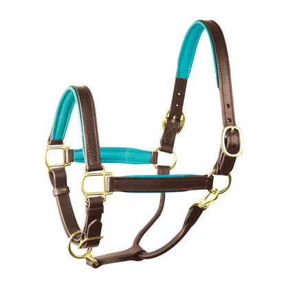 Perri's Personalized Padded Leather Halter