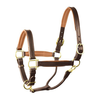 Perri's Personalized Padded Leather Halter