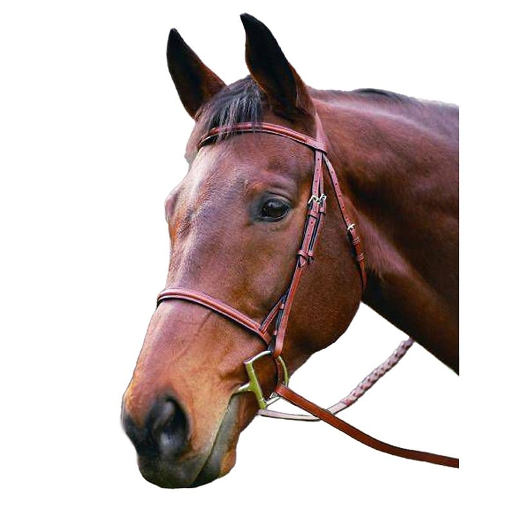 HDR Advantage Raised Snaffle Bridle
