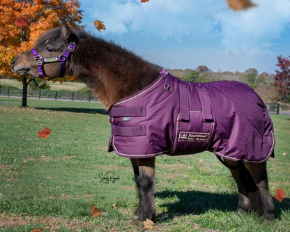 Ozark By Kensington LW Mini/Pony Blanket