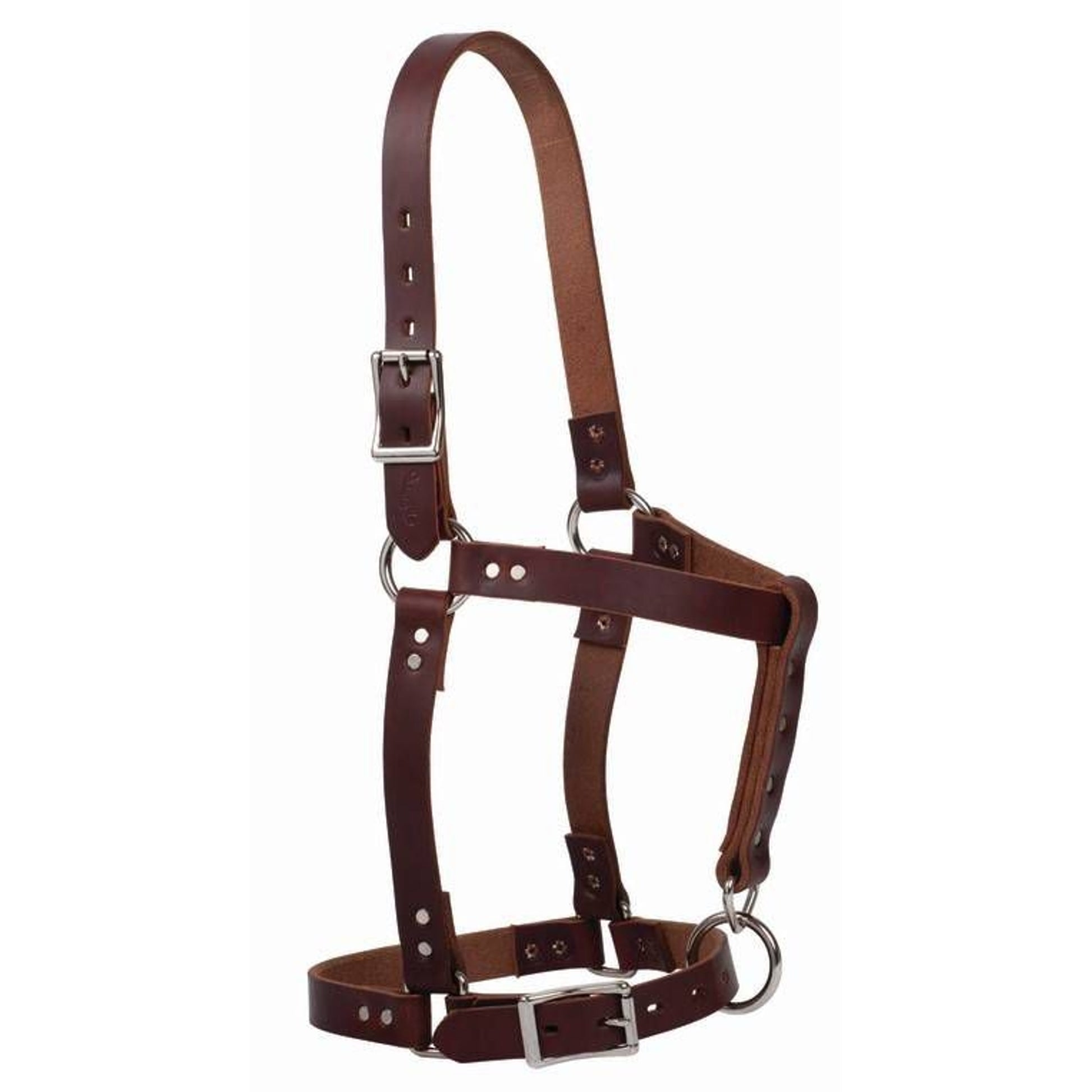 Weaver Riveted Halter with CatchStrap