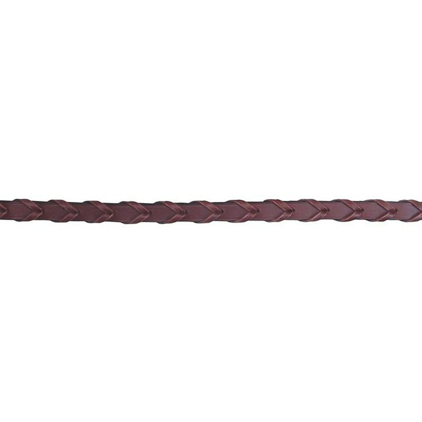 TE045504.jpg