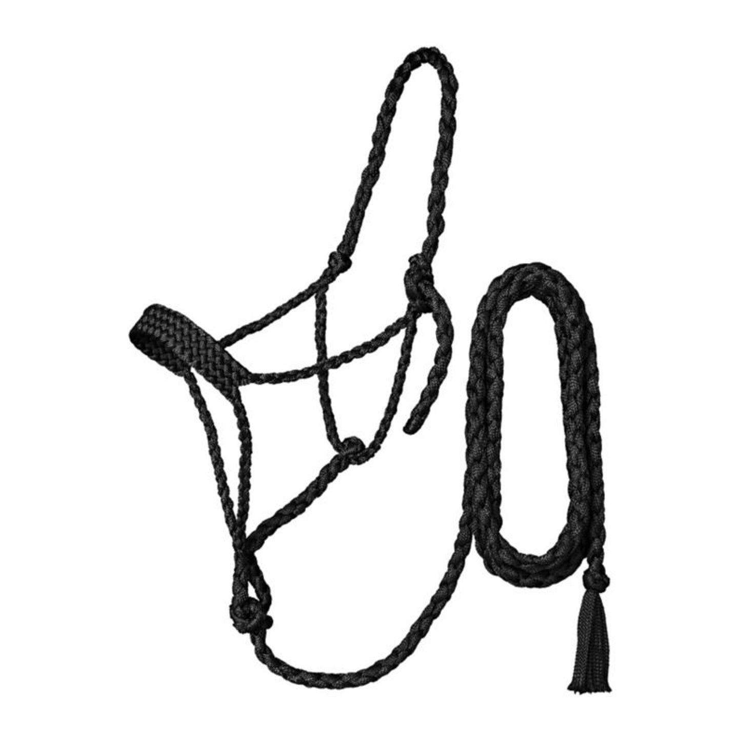 TE045562_P.jpg
