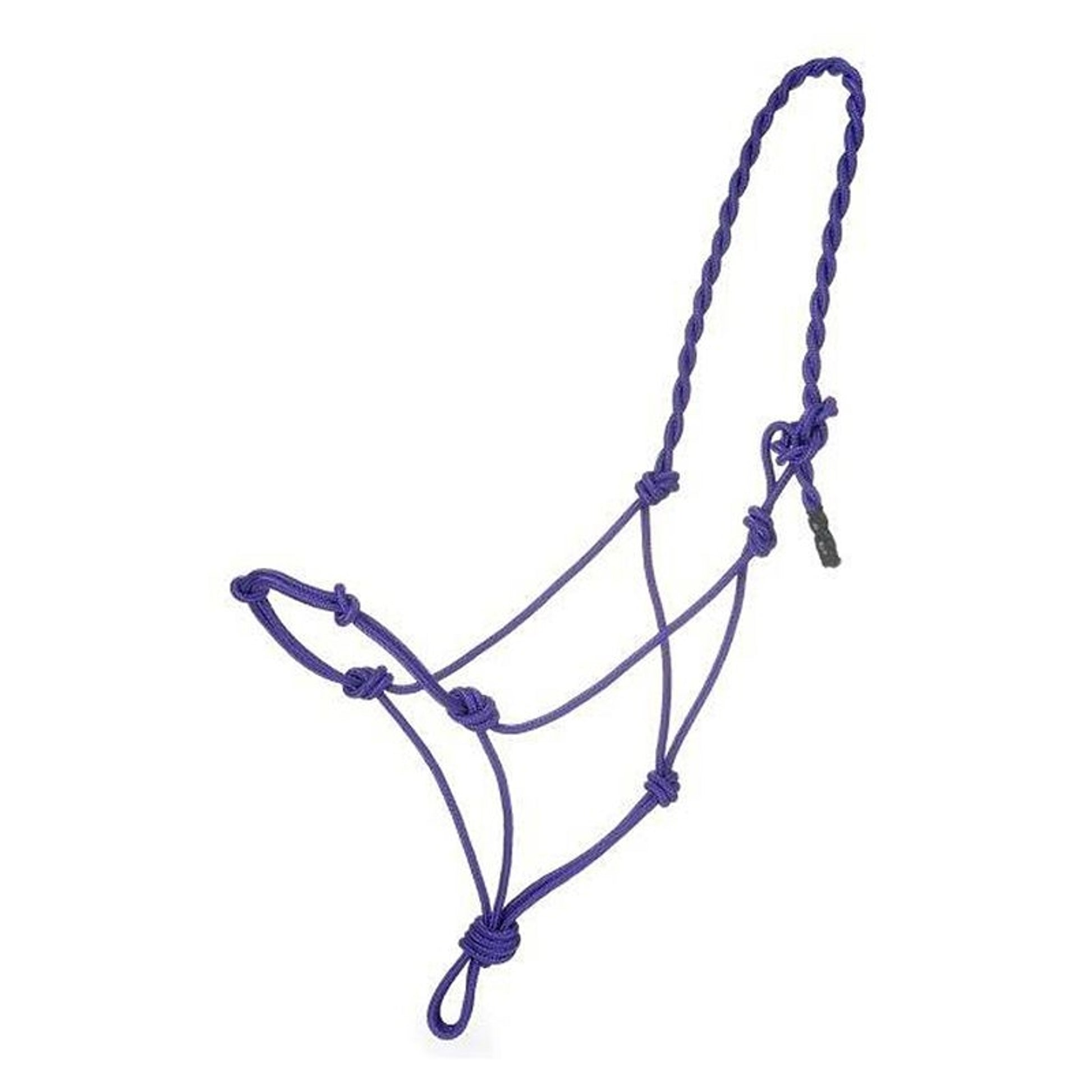 Tough1 Knotted Rope/Twisted Crown Halters 6 Pack