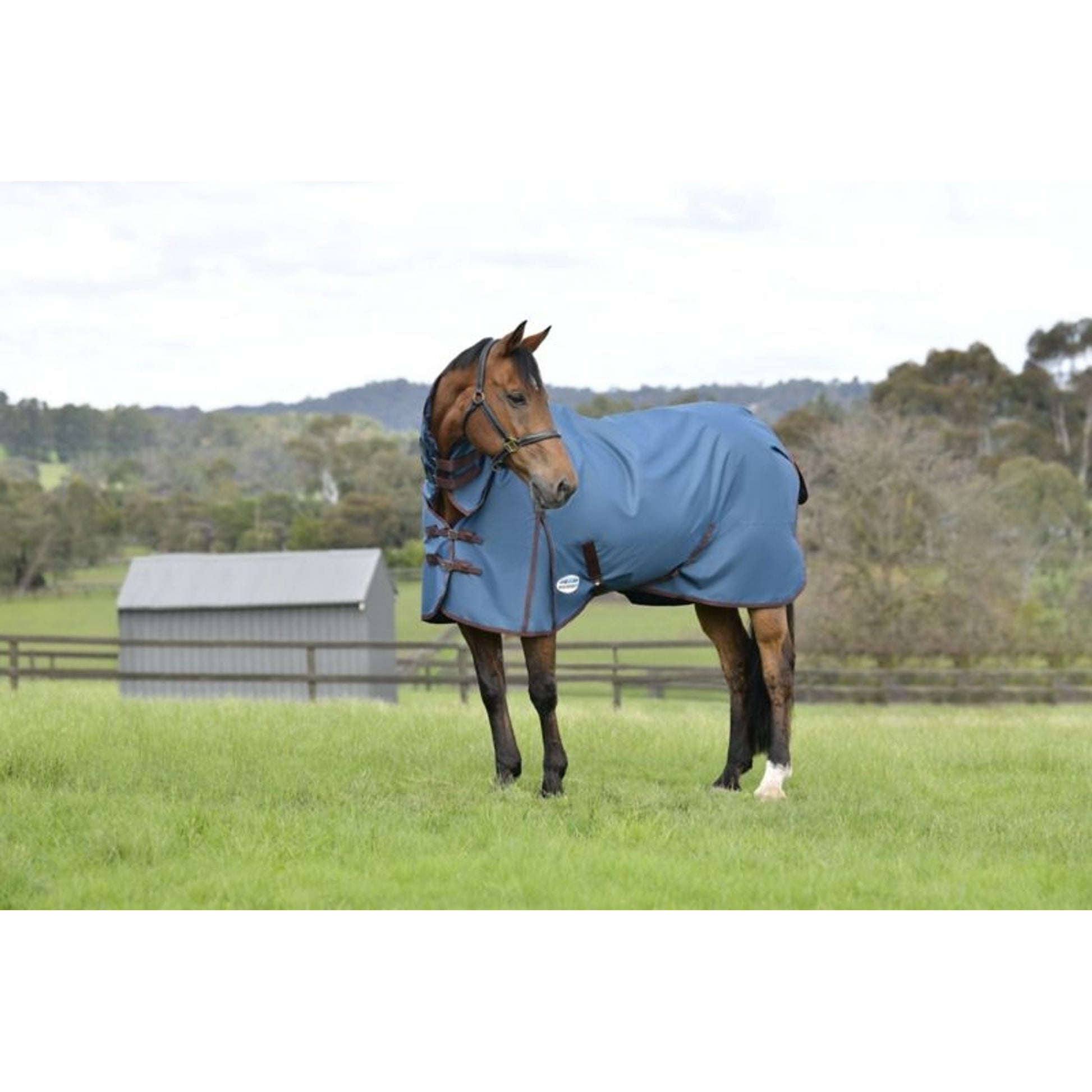 Weatherbeeta ComFiTec Classic Combo Lite Plus Turnout