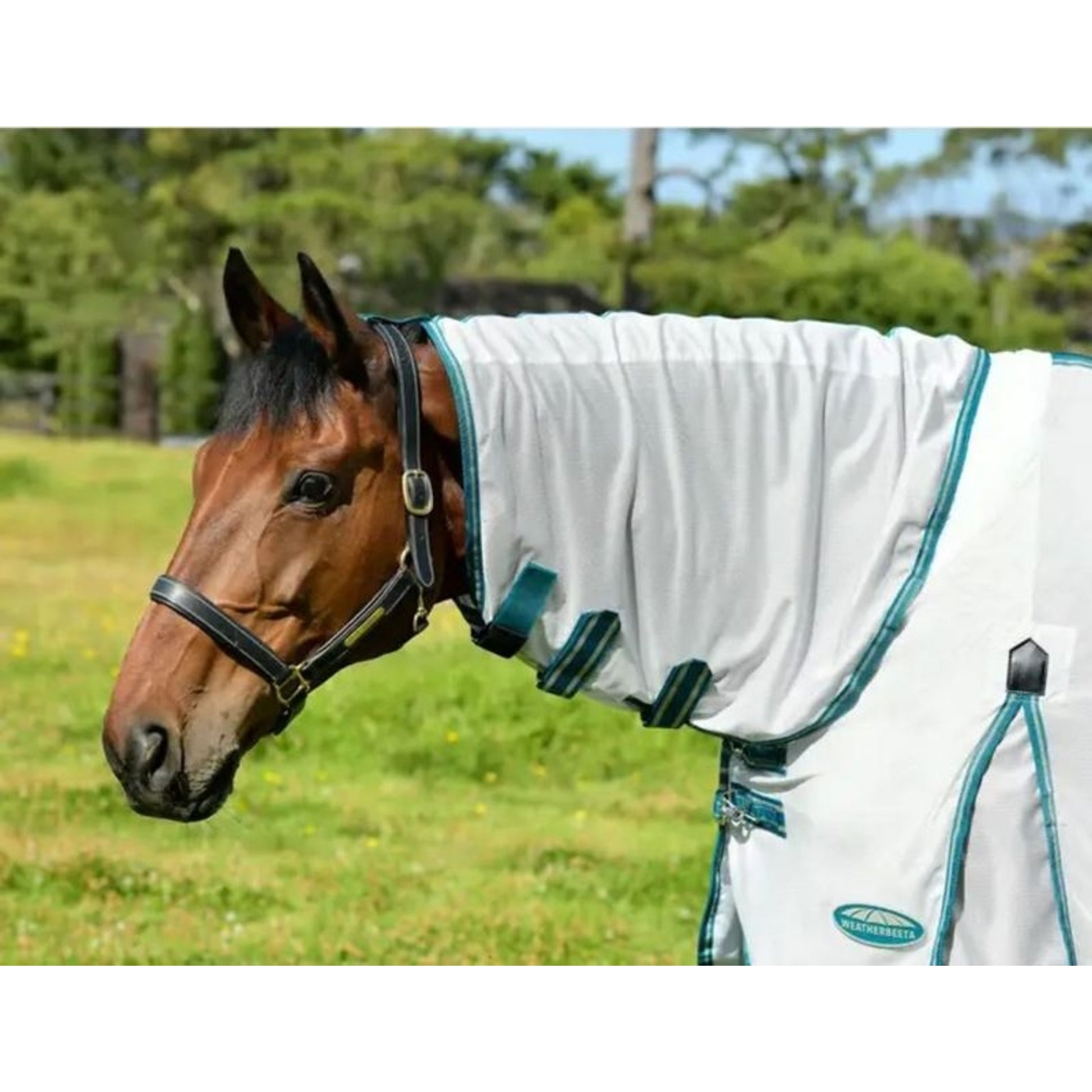 WeatherBeeta ComFiTec Zephyr Plus Mesh Combo Neck Fly Sheet