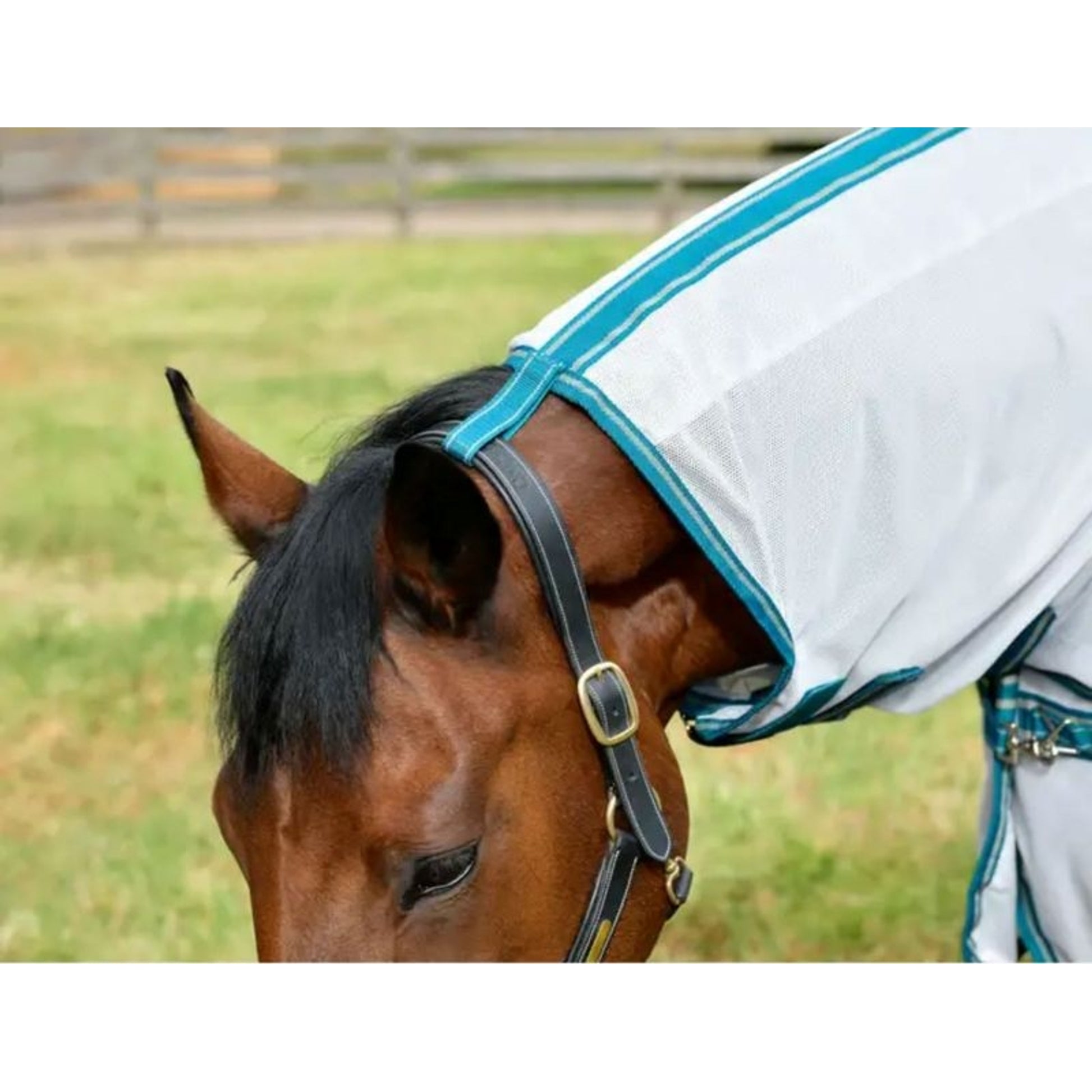 WeatherBeeta ComFiTec Zephyr Plus Mesh Combo Neck Fly Sheet