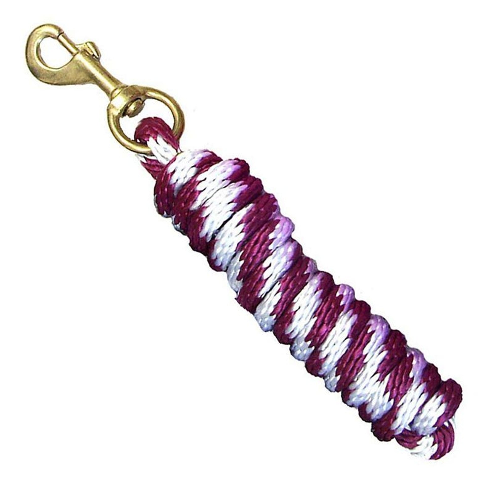 Braided Poly 8ft Lead with Solid Brass Snap