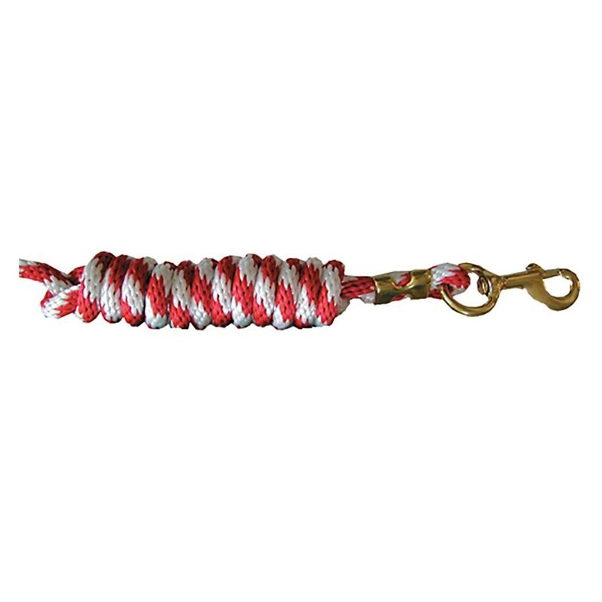 Braided Poly 8ft Lead with Solid Brass Snap