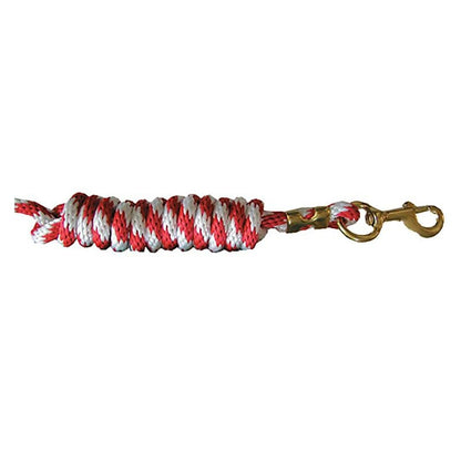 Braided Poly 8ft Lead with Solid Brass Snap