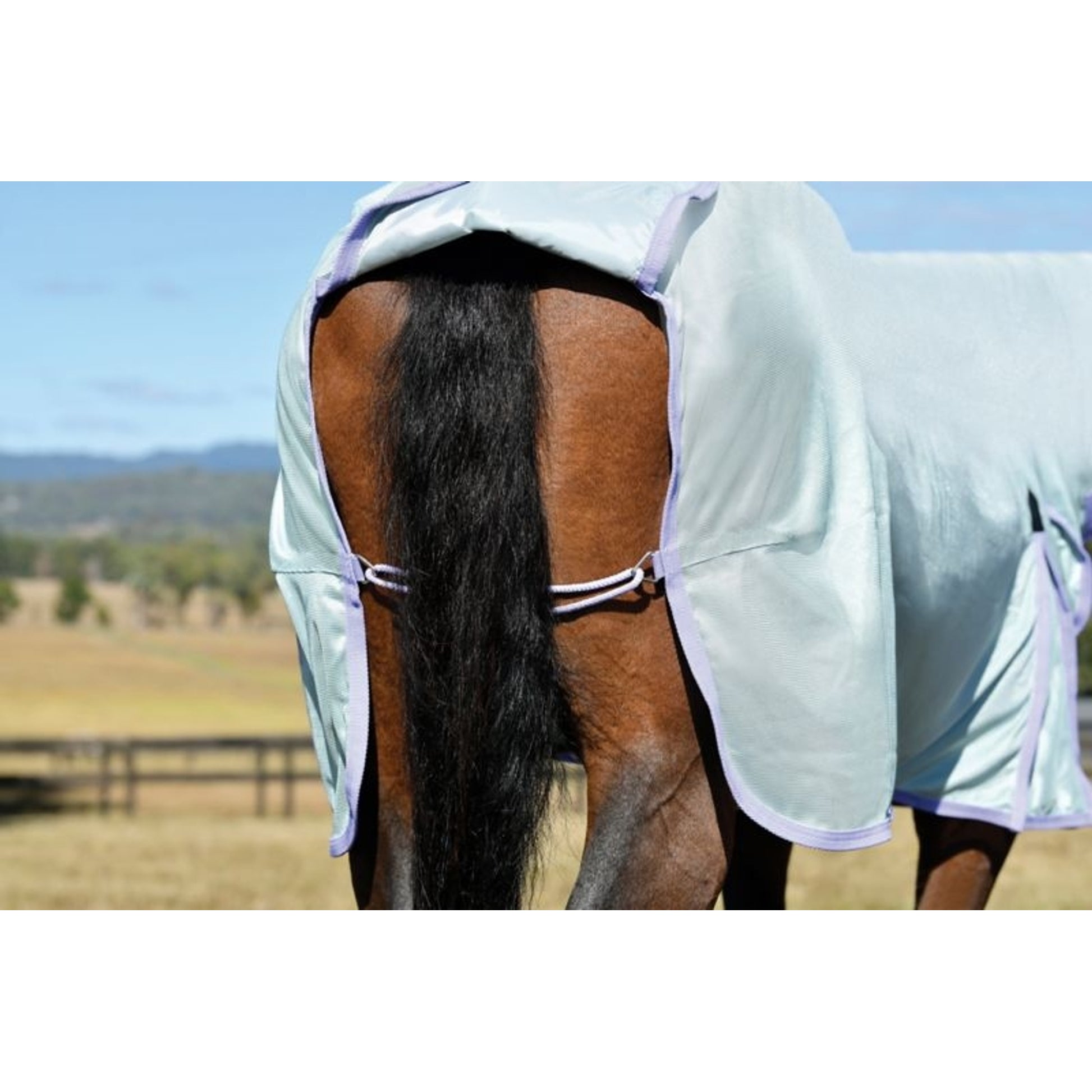 Saxon Mesh Combo Neck Fly Sheet